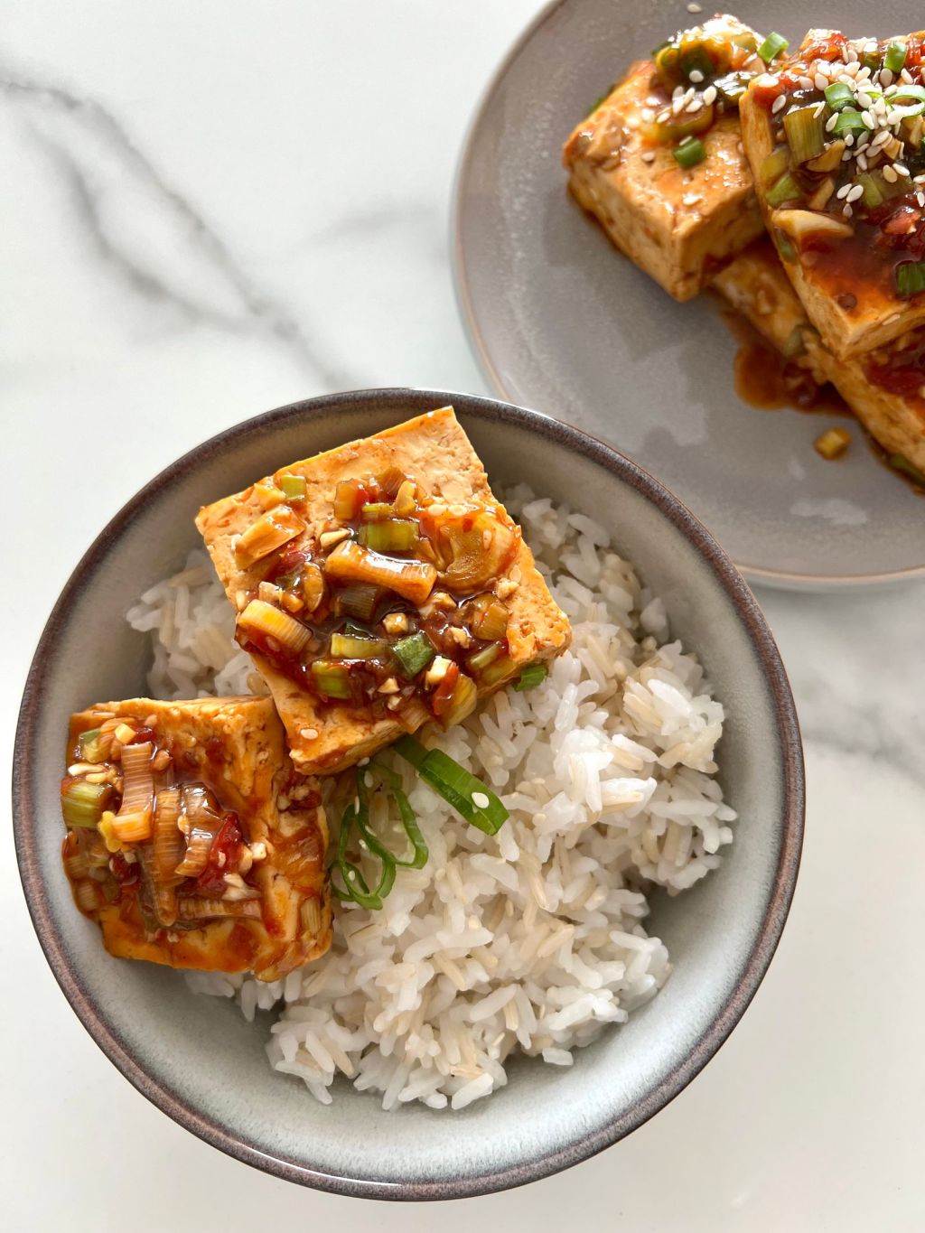 Korean-style braised tofu in a spicy soy glaze with rice, scallions and sesame seeds