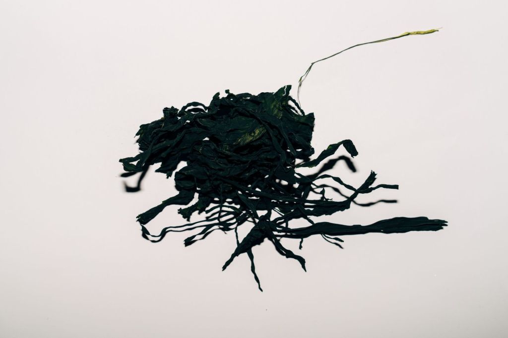 What is Dasima? Korean Dried Kelp Explained (+ Easy Anchovy-Kelp Broth&nbsp;Recipe)