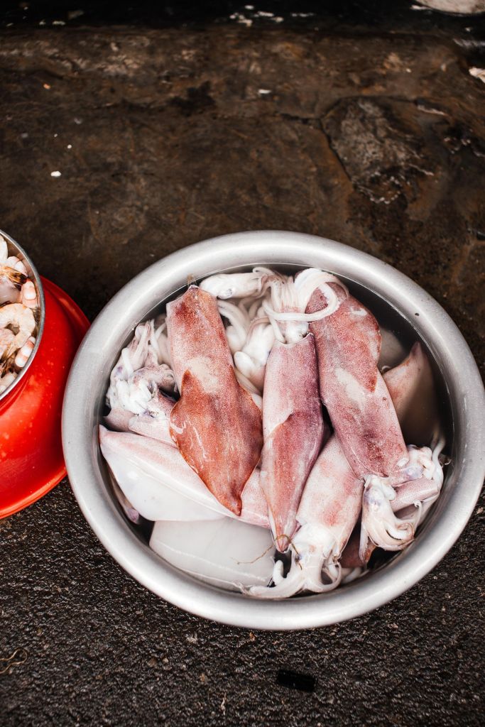 Fresh raw squid in a metal bowl ready for preparing salted squid